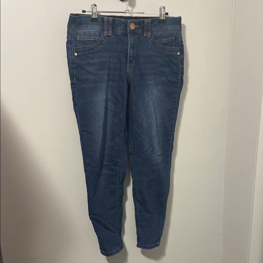 Democracy Blue Skinny Jeans with Stretchy Comfort‎